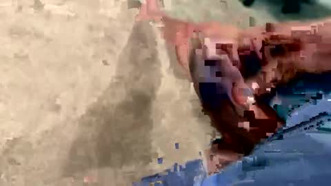 peakingondaddy online show from October 2025 11:21:02 AM