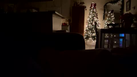 penessy47 online show from December 2025 10:55:01 AM