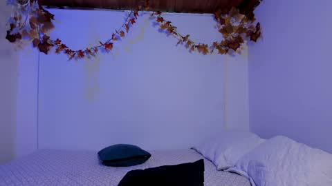 Rose online show from December 2024 10:08:02 PM