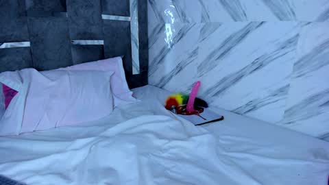 petite_amor online show from December 2024 10:30:02 PM
