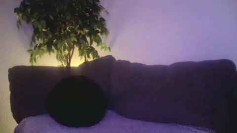 petite treat  online show from December 2024 10:56:02 AM