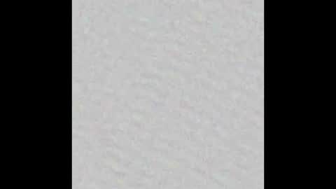 Snapshot of peytonn_monroe chatting on October 2025 12:13:02 PM peytonn_monroe online show from October 2025 12:13:02 PM