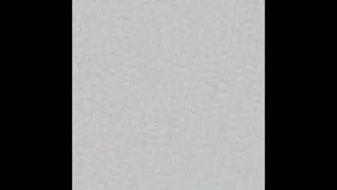 Snapshot of peytonn_monroe chatting on October 2025 11:41:02 AM peytonn_monroe online show from October 2025 11:41:02 AM