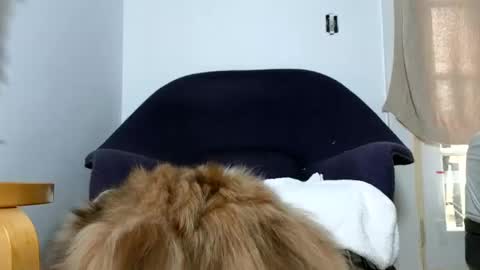 Snapshot of phattbooty80 chatting on December 2024 05:52:01 PM TheSkyeWoods online show from December 2024 05:52:01 PM