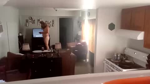 Phinfan online show from February 2025 08:44:02 PM