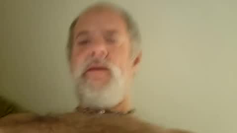 Snapshot of pigbear4trans chatting on January 2025 07:04:02 AM pigbear4trans online show from January 2025 07:04:02 AM