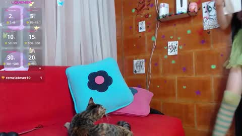 Sky online show from November 2025 08:30:02 PM