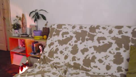 Sony online show from November 2025 05:04:02 PM