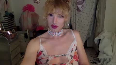 pinkfag online show from March 2025 03:18:01 PM