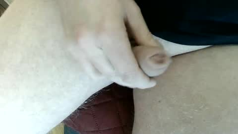 pippo online show from January 2025 03:55:01 PM