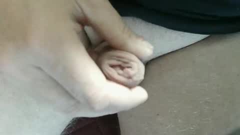 pippo online show from November 2025 10:01:02 PM