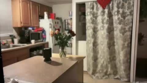 pirdybirdyxo online show from January 2025 04:06:01 AM