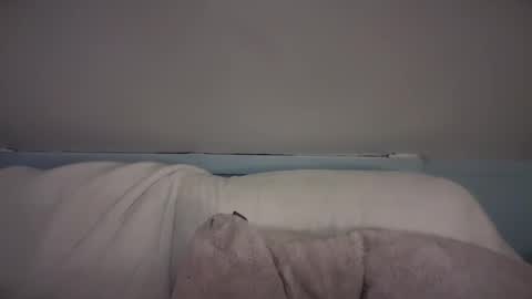 pirdybirdyxo online show from February 2025 03:42:02 AM