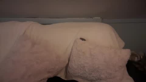 pirdybirdyxo online show from March 2025 06:37:02 AM