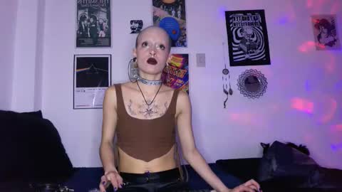    online show from November 2025 11:37:02 PM