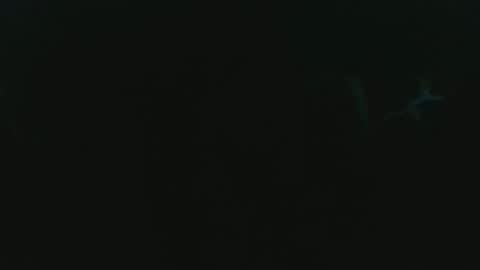 Snapshot of pokerffface79 chatting on November 2025 05:57:01 PM pokerffface79 online show from November 2025 05:57:01 PM