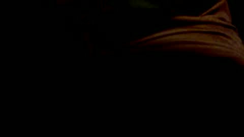 Snapshot of polarbear49 chatting on January 2025 12:32:02 PM PolarBear49 online show from January 2025 12:32:02 PM