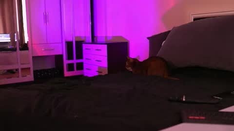 Snapshot of polusladkoye chatting on September 2025 01:02:01 PM Megan.online online show from September 2025 01:02:01 PM