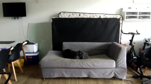 Snapshot of popopo00 chatting on January 2025 05:24:02 PM popopo0 online show from January 2025 05:24:02 PM