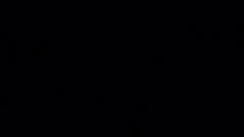 porkynerd online show from October 2025 12:07:02 PM