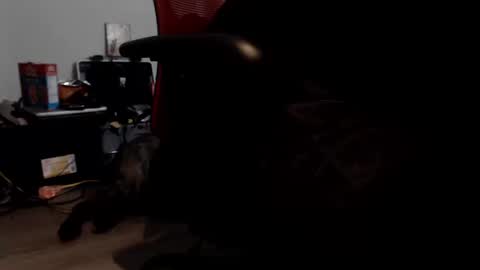 porkdaddy online show from September 2025 05:45:01 PM