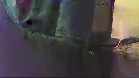 Snapshot of poyote69 chatting on November 2025 03:05:01 AM poyote69 online show from November 2025 03:05:01 AM