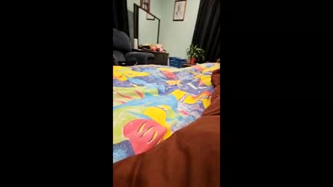 Pre online show from September 2025 03:08:02 AM