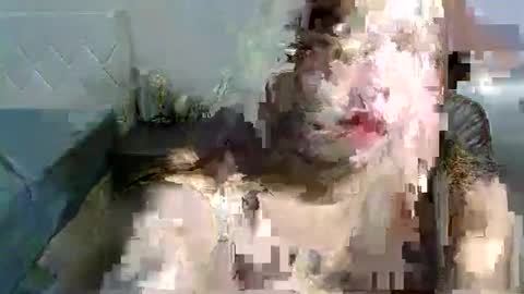 jenny online show from October 2025 07:18:01 PM