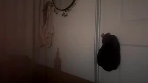 prettything11 online show from November 2025 03:16:01 AM