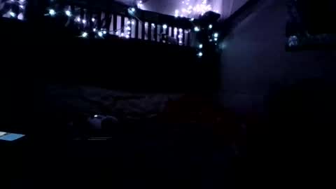 Holly love online show from November 2025 08:22:02 AM