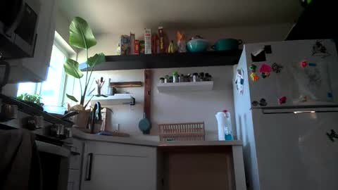 Snapshot of properfuct chatting on November 2025 08:43:02 PM Properfuct online show from November 2025 08:43:02 PM