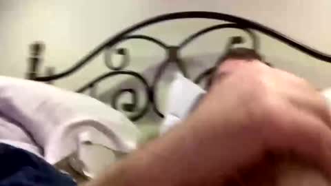 Snapshot of protostarr chatting on January 2025 01:33:01 AM protostarr online show from January 2025 01:33:01 AM