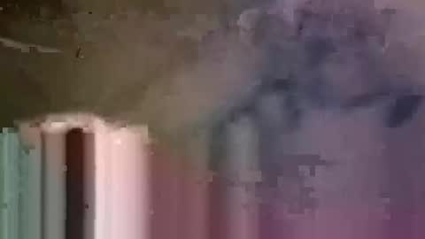 prvive2025 online show from November 2025 05:58:02 PM