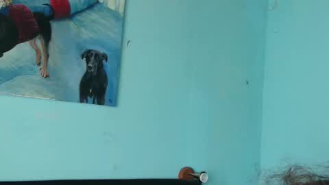 Snapshot of prxscillia_tx chatting on November 2025 01:45:01 PM prxscillia_tx online show from November 2025 01:45:01 PM