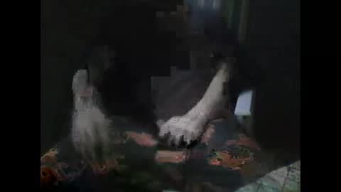 ptyp1973 online show from January 2025 10:02:01 AM