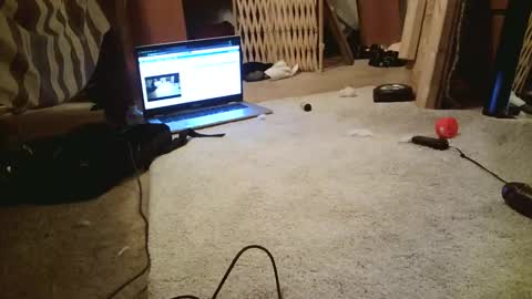 pumpguy1962 online show from February 2025 01:25:02 AM