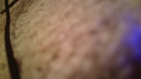 pumpguy1962 online show from September 2025 05:09:02 AM