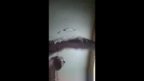 pumpingyoufull online show from March 2025 08:29:02 PM