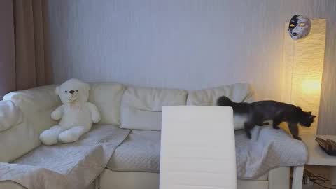 Jesse online show from October 2025 05:40:01 AM