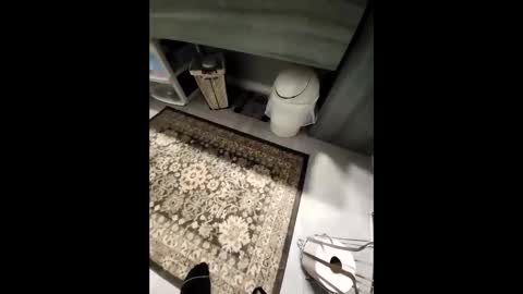 purdyguy7777 online show from December 2024 07:56:02 PM