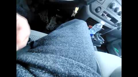purdyguy7777 online show from December 2024 06:13:01 PM