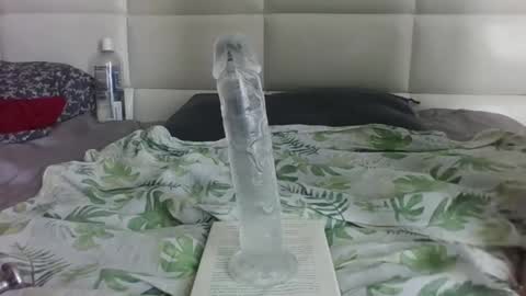 Snapshot of purplelotusgirl chatting on November 2025 08:25:02 AM purplelotusgirl online show from November 2025 08:25:02 AM