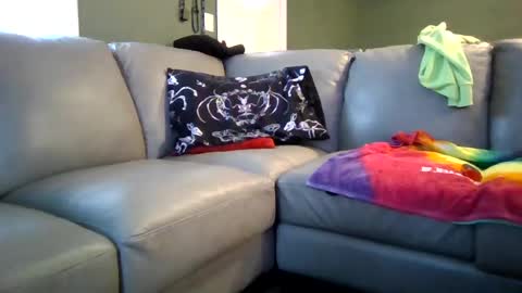 Jelly online show from February 2025 06:13:01 PM