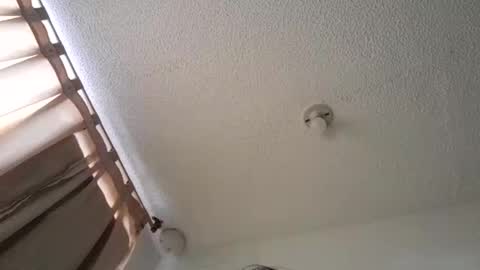 pussy_happy0 online show from December 2024 07:55:01 PM