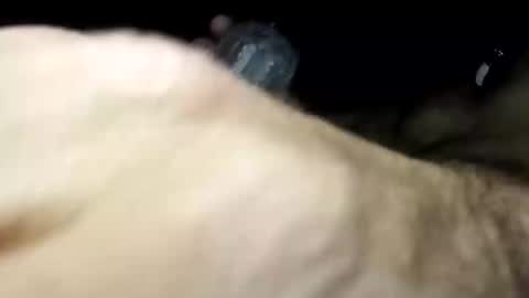 Snapshot of pussyluver420kik909587 chatting on November 2025 06:57:01 AM Pussyluver420 online show from November 2025 06:57:01 AM