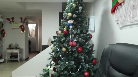  Zafiro  ILL BROADCAST UNTIL DECEMBER  Onlyfans  online show from November 2025 12:33:01 PM