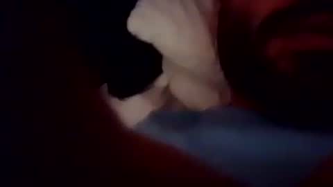 rago1994 online show from October 2025 03:54:01 PM