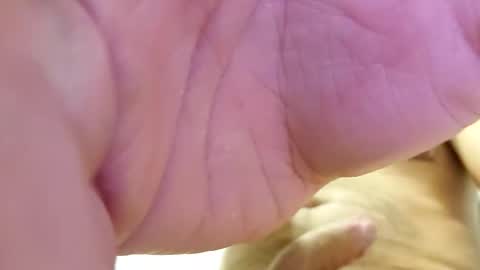 raidehot online show from October 2025 11:44:02 AM