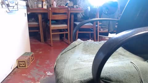 Ray online show from January 2025 02:04:01 PM