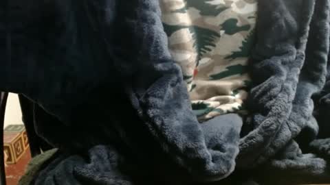 Ray online show from January 2025 12:34:02 AM